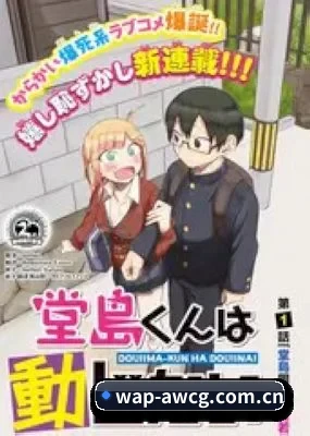 全域布局
